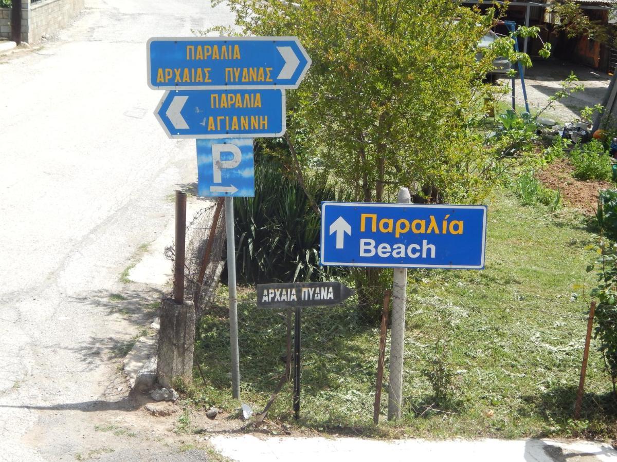 Tatil Evi Zira House *